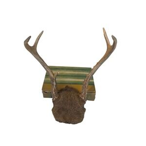 Rustic Deer Antlers Skull Mount Rustic Cabin Decor Wall Art